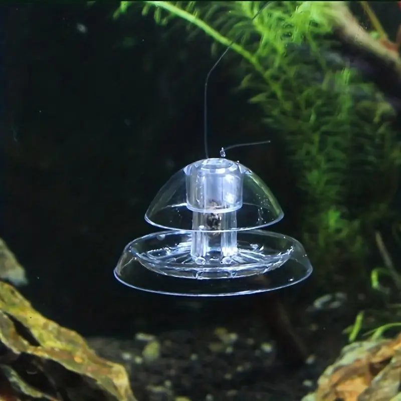 Reusable Pest Snail Trap!