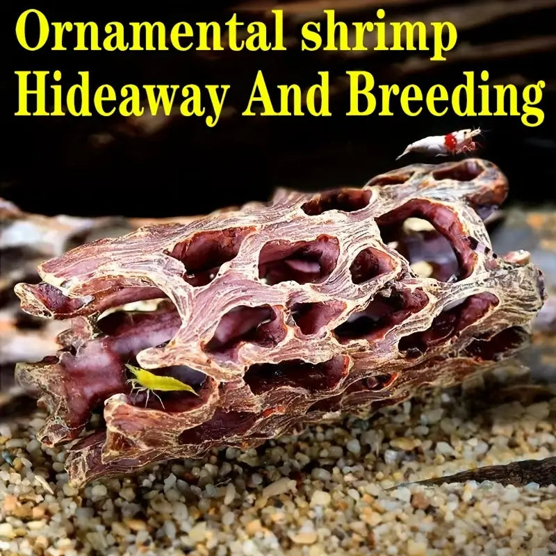 Shrimp Breeding Or Small Fish Hideout