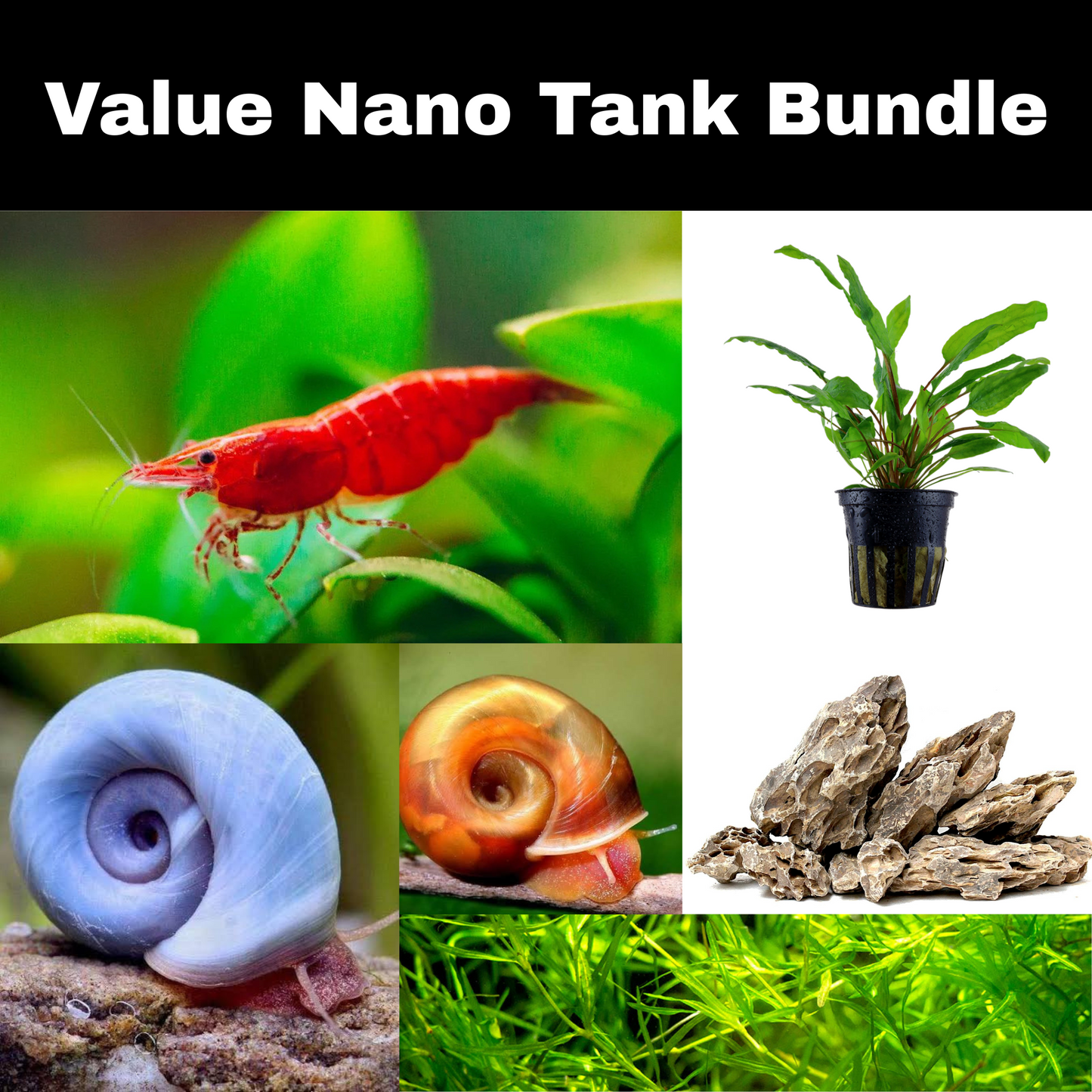 Nano Tank Bundle