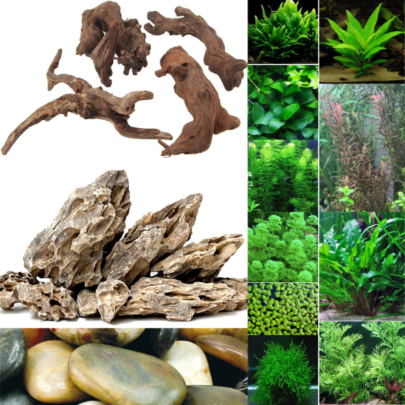 MASSIVE Tank Decoration And Plant Bundle