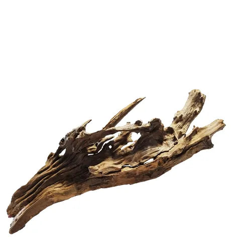 Mekong River Wood – Natural Aquarium Driftwood