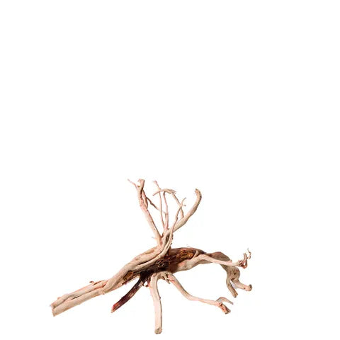 Red Moore Wood – Natural Aquarium Driftwood