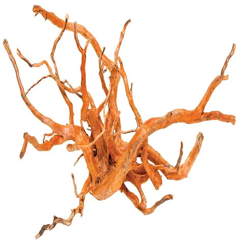 Gold Vine – Natural Aquarium Driftwood