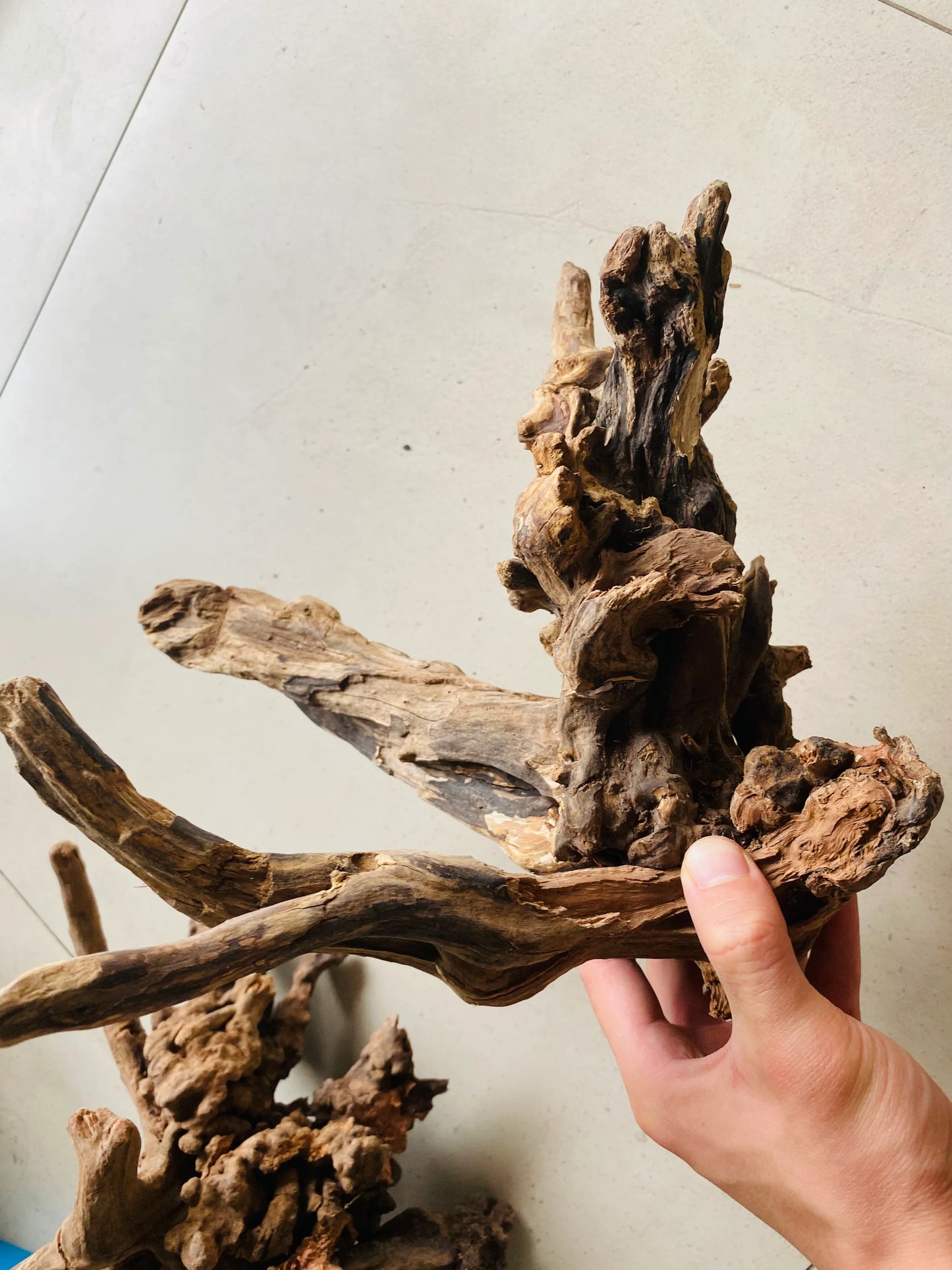 Small Driftwood