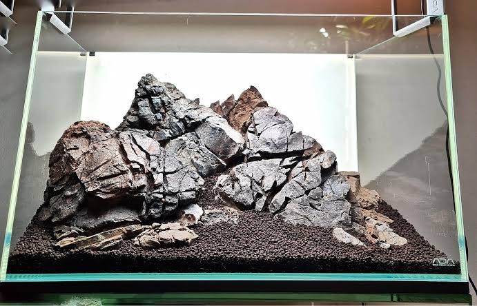 Rocks
