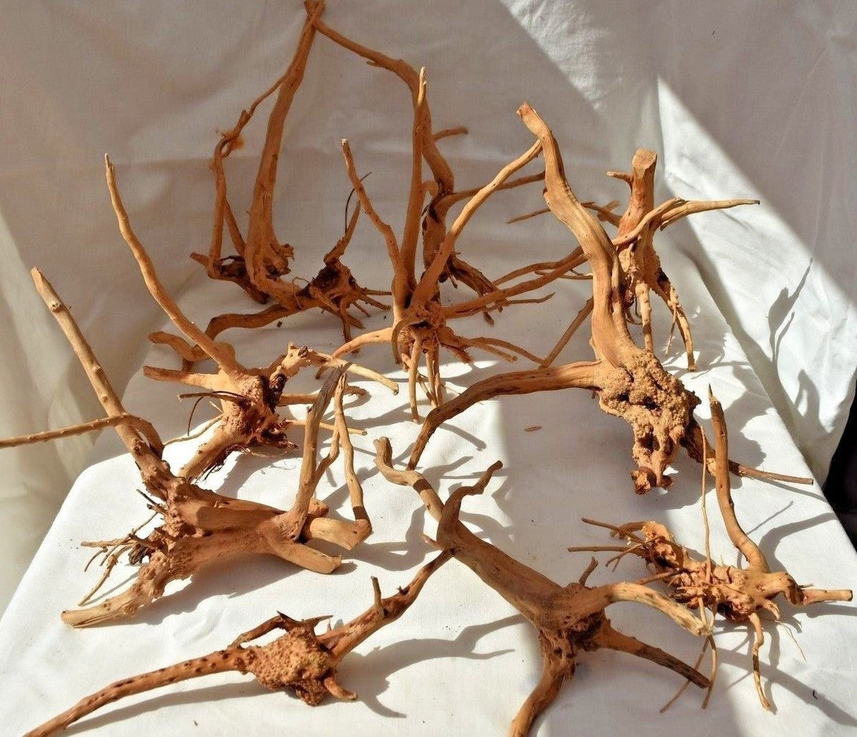 Wood