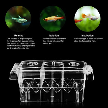 Breeder Box For Fish Large Capacity
