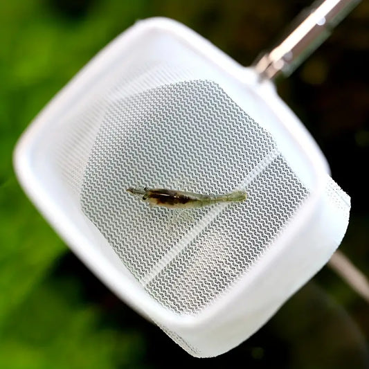 Retractable 3d Printed Shrimp Net