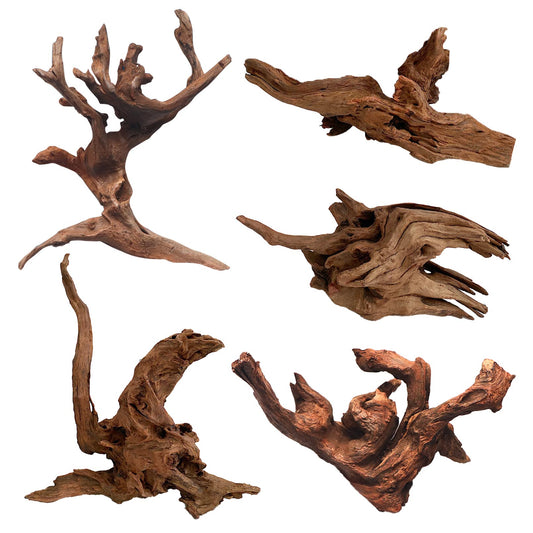 Small Driftwood
