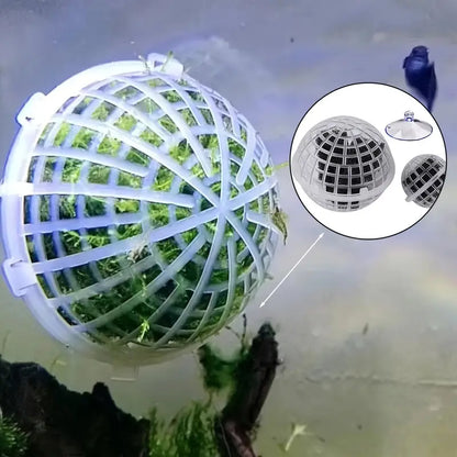 Moss Ball Container