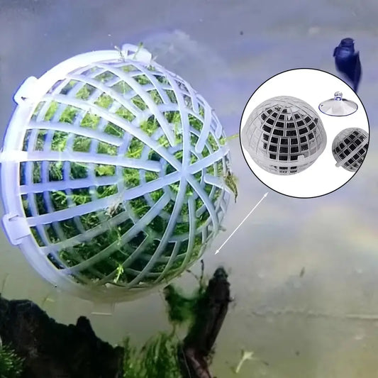 Moss Ball Container