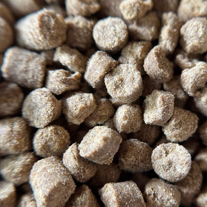 Bug Buffet - Fish Food