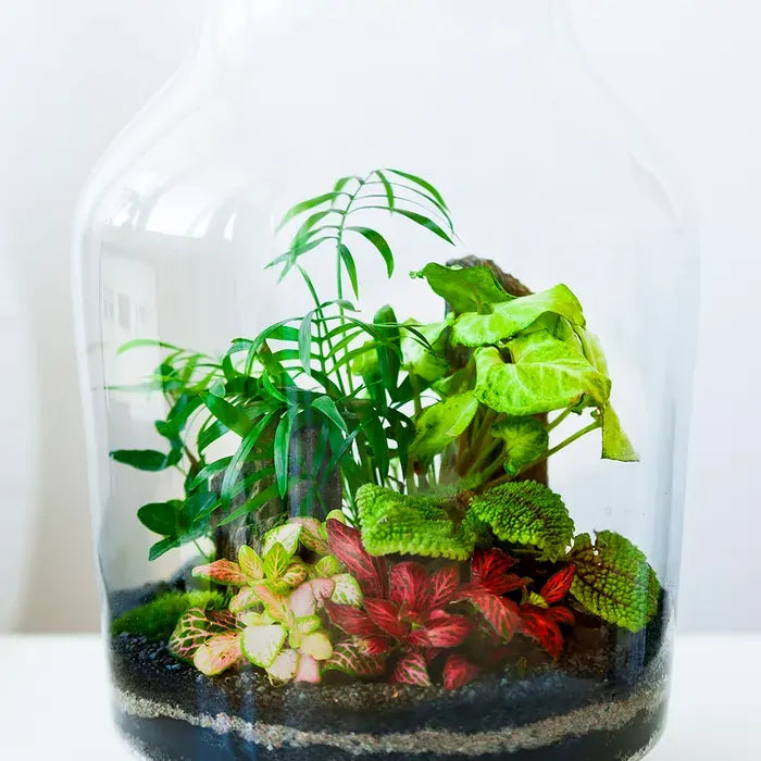 Aquarium Plant Toppers - 6 Pack