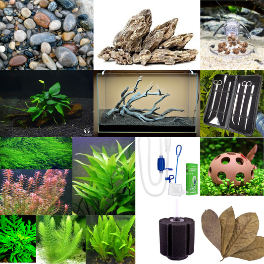 MASSIVE New Tank Setup Value Bundle