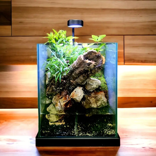 Mini Aquarium Desktop Fish Tank 22L