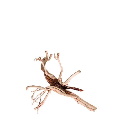 Red Moore Wood – Natural Aquarium Driftwood