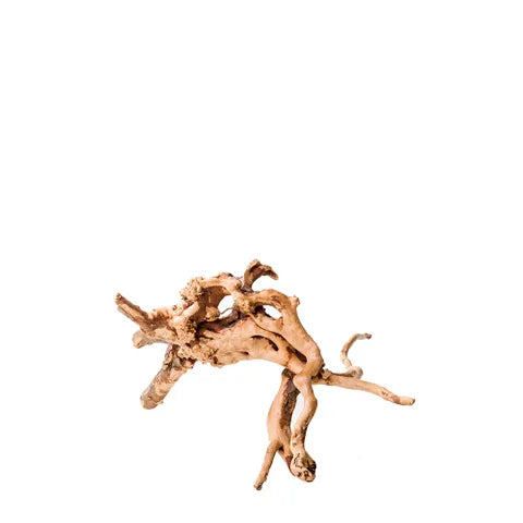 Gold Vine – Natural Aquarium Driftwood