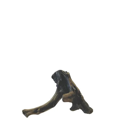 New Zeland Exotic Wood – Natural Aquarium Driftwood