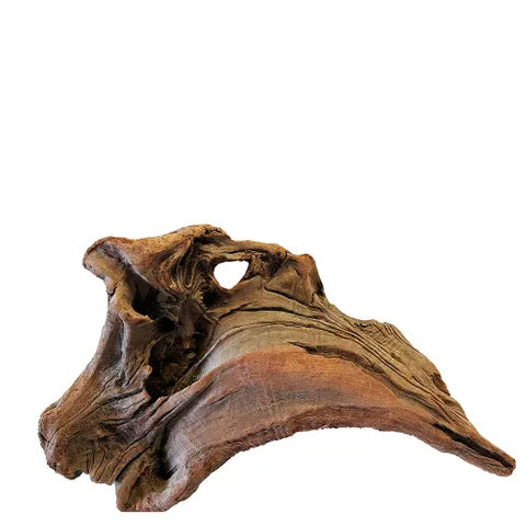 New Zeland Exotic Wood – Natural Aquarium Driftwood