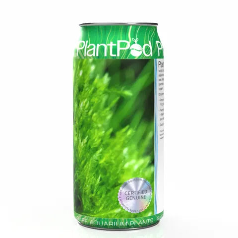 Mini Christmas Moss Large PlantPod