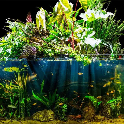 Aquarium Plant Toppers - 6 Pack