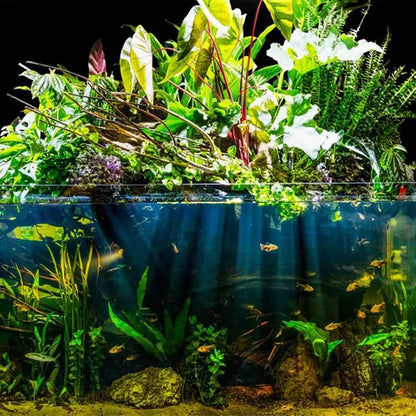 Aquarium Plant Toppers - 6 Pack