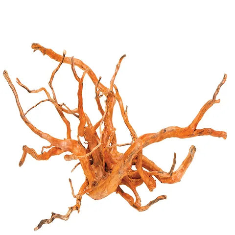 Gold Vine – Natural Aquarium Driftwood
