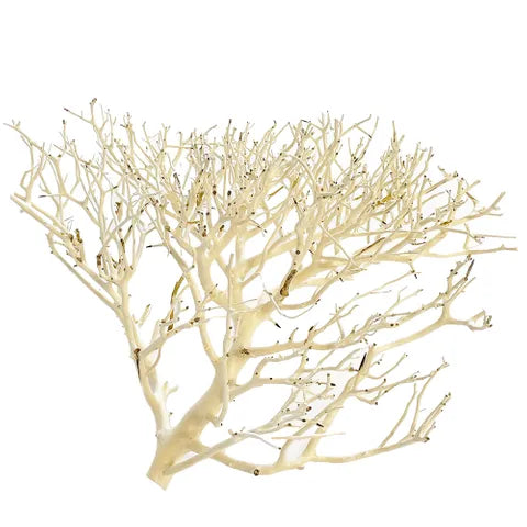 Coral Wood – Natural Aquarium Driftwood