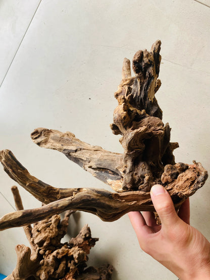 Small Driftwood