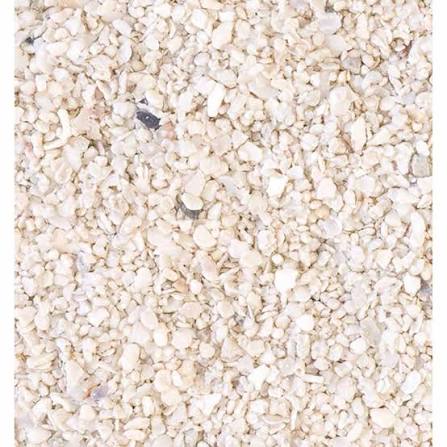 AquaNatural Argonite Sand