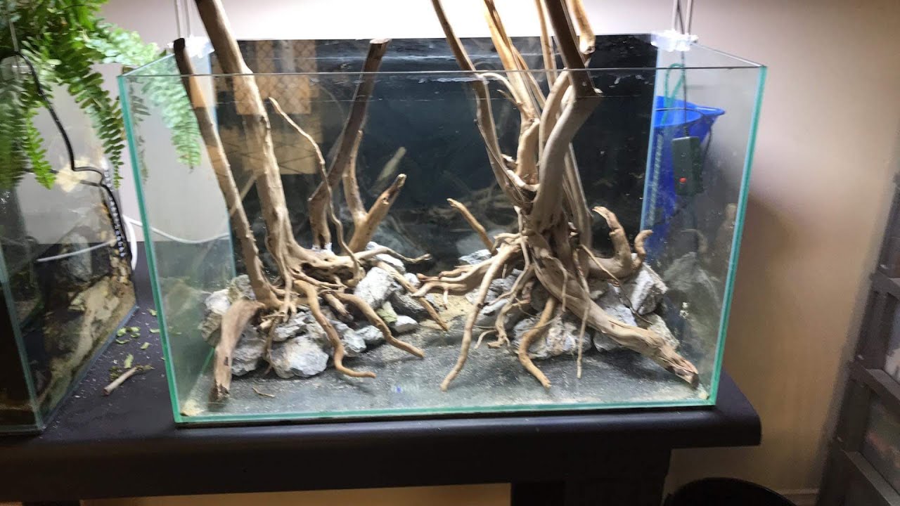Gold Vine – Natural Aquarium Driftwood