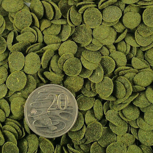 Quality Alage Spirulina Sinking Wafers For Plecos